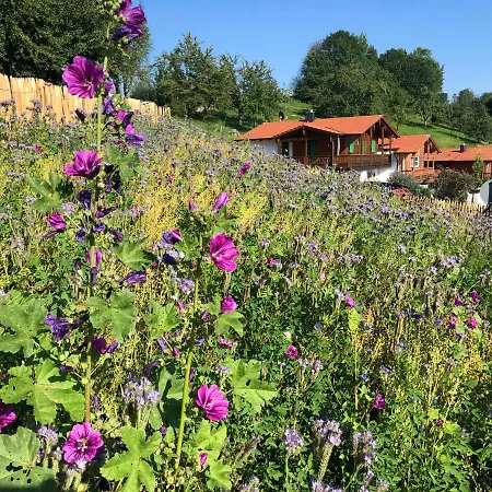 Golfamgutshof18 아파트