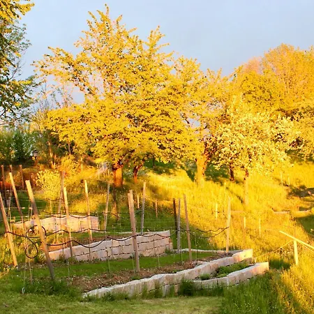 아파트 Golfamgutshof18